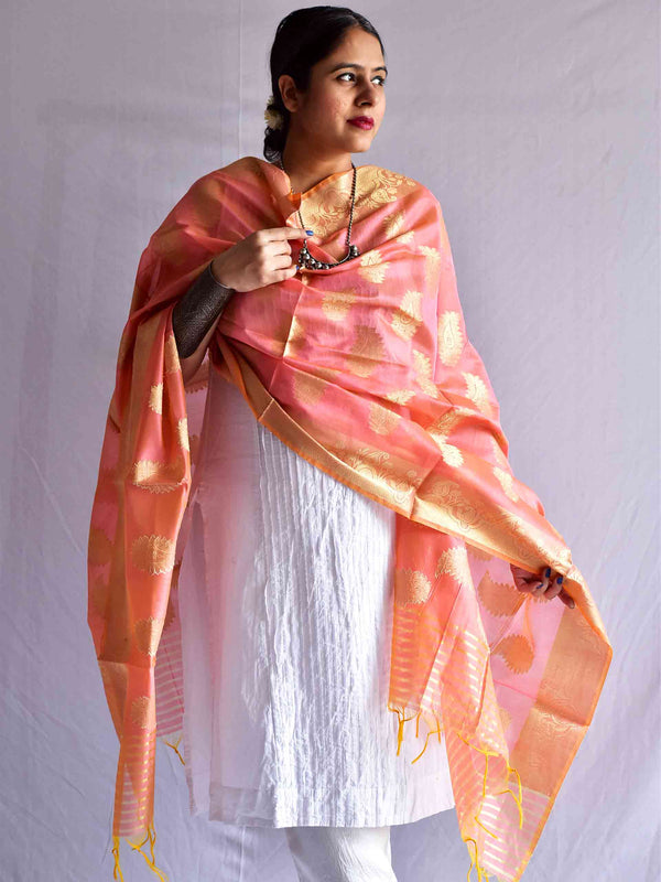 Tulips - Brocade cotton silk Dupatta